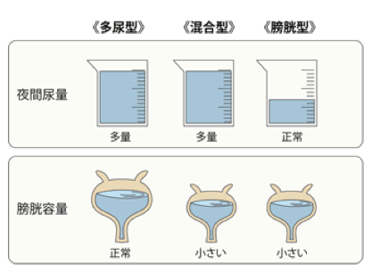 多尿型、混合型、膀胱型の夜間尿量と膀胱容量の違い